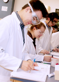 undergraduates in the lab