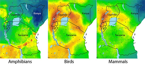 Three side-by-side figures of a yellow-green heatmap over East Africa