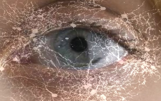 A human eye