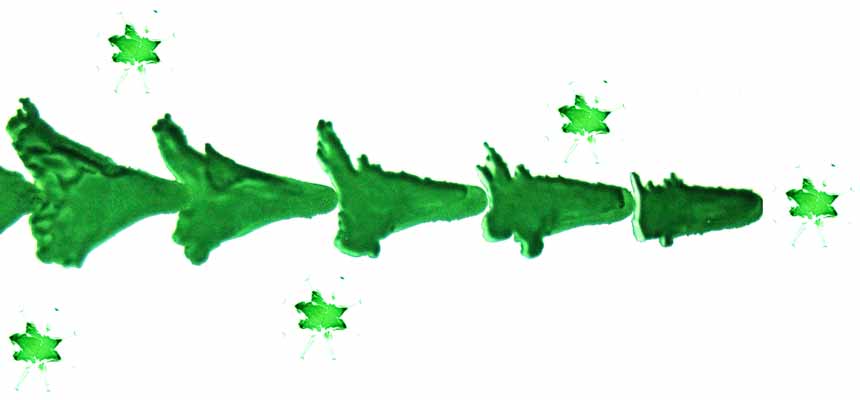 Microscopic photo of green cells which resemble a christmas tree-like structure