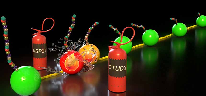 A line of green balls colliding into red and orange balls with the fire symbol on them. There are two fire extinguishers on either side of the line of balls.