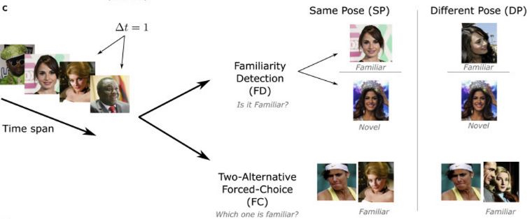 diagram of familiarity detection