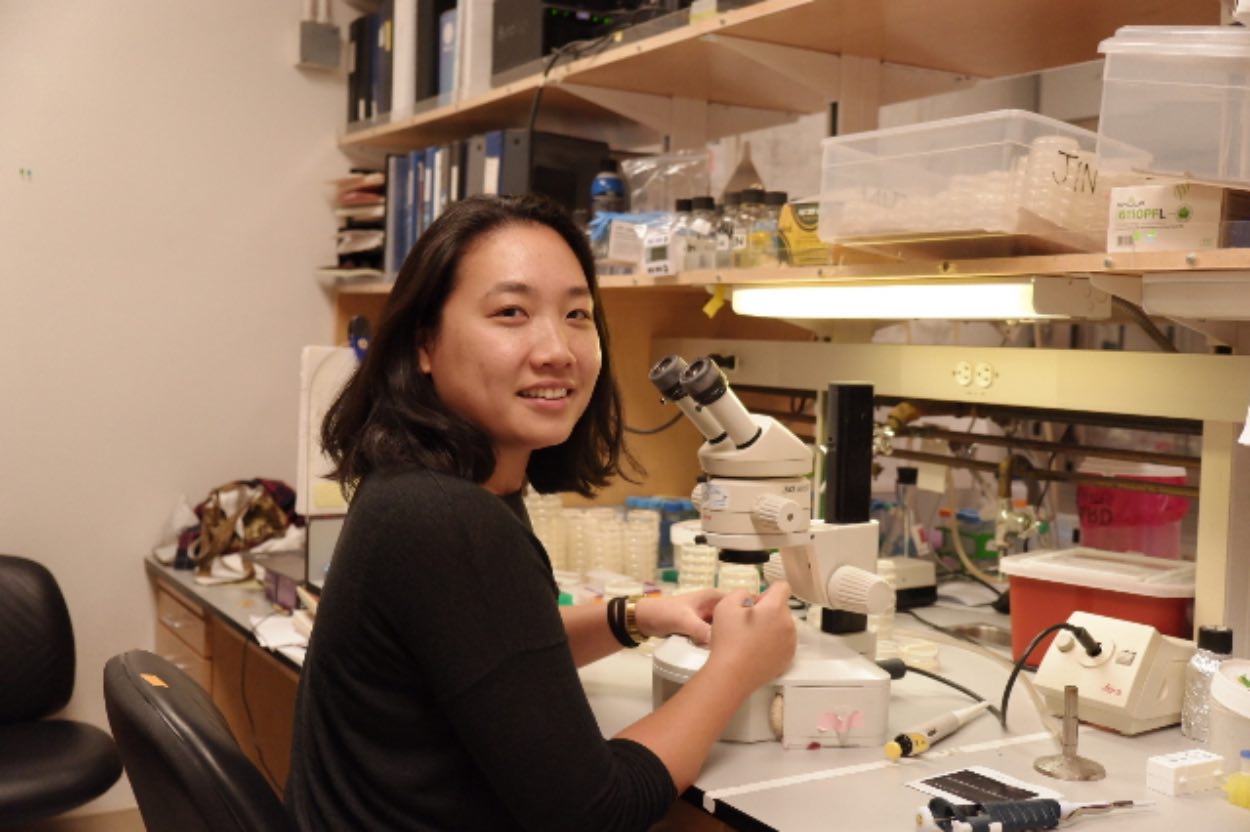 Eugene Jen Jin working in the laboratory