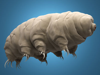 Computer rendering of a water bear