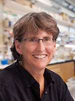 photo of Stephanie Mel