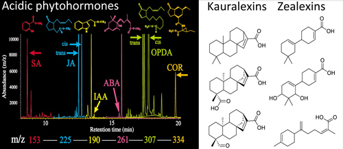 Mass spectrometry-based metabolomic profiling