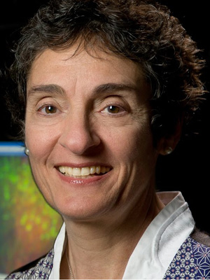 Carla Shatz