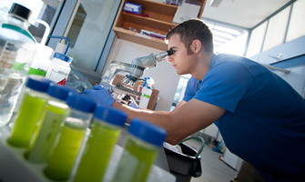 Scientists at UC San Diego are among the workers in the region transforming algae into transportation fuels.