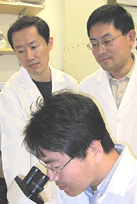 Hoseok Song, Yang Xu and Sun-Ku Chung developed the new technique in the lab.