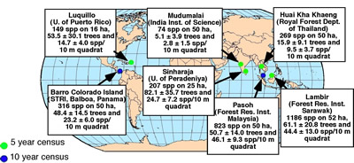 Figure of forest plots indicated on world map