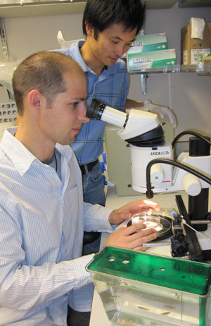 Buyung Santoso standing next to Julien Bertrand (who is wearing a white lab coat) and observing Julien looking into a microscope while holding a petri dish.