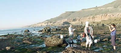 Biologists collecting samples at the beach