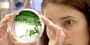 Photo of a woman holding up a petri dish streaked with algaue