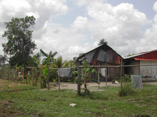 A house in a malaria-endemic region of the Peruvian Amazon