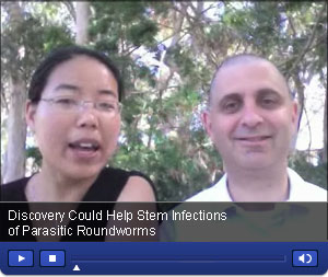 Video: Aroian and Hu discuss their research