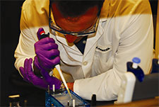 a reseacher working in the lab