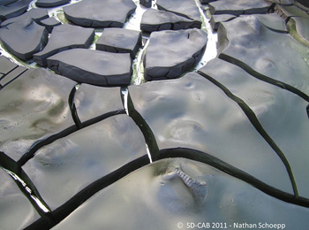 Algae drying at UC San Diego