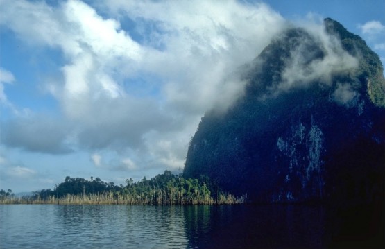 Forest island next to a mountain