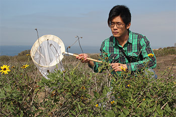 James Hung capturing a bee