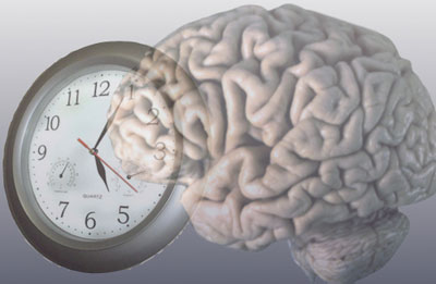 Illustrated brain and clock next to each other