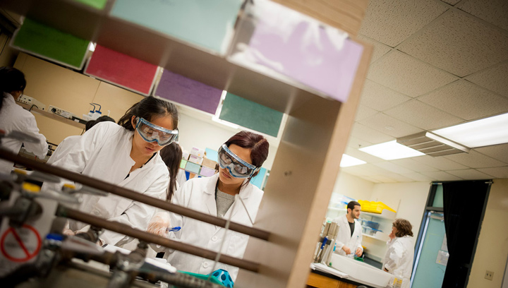 Two researchers working in a lab