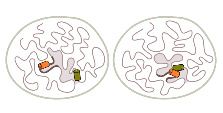 two graphically drawn brains with wires inside