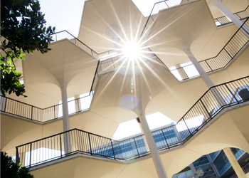 Walkway bbetween Bonner and Mayer hall