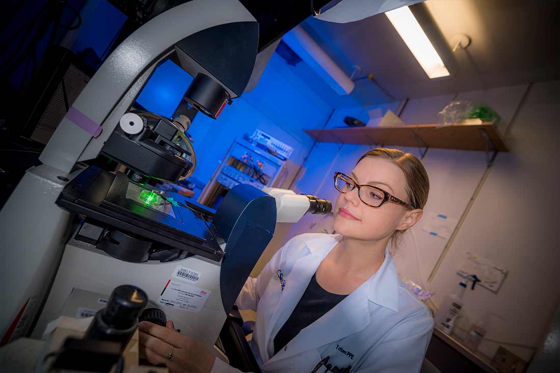 A researcher looking into a microscope