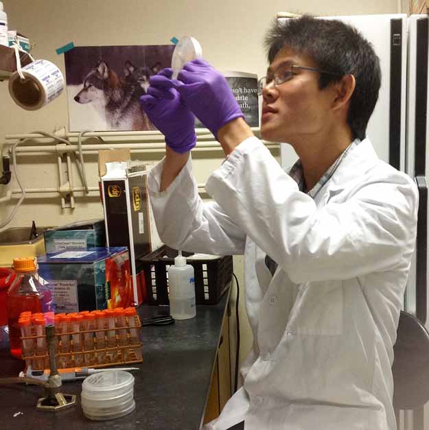 man examining petri dish in lab