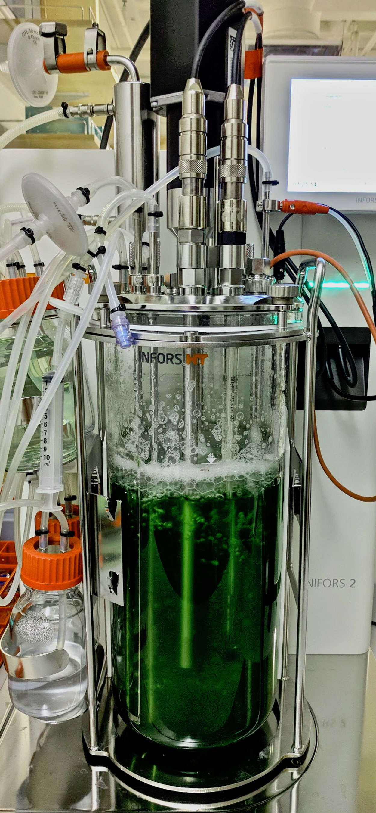 A large glass clyndrical tube with tubes coming out of the top. Inside the tube is liquid, clear green algae.