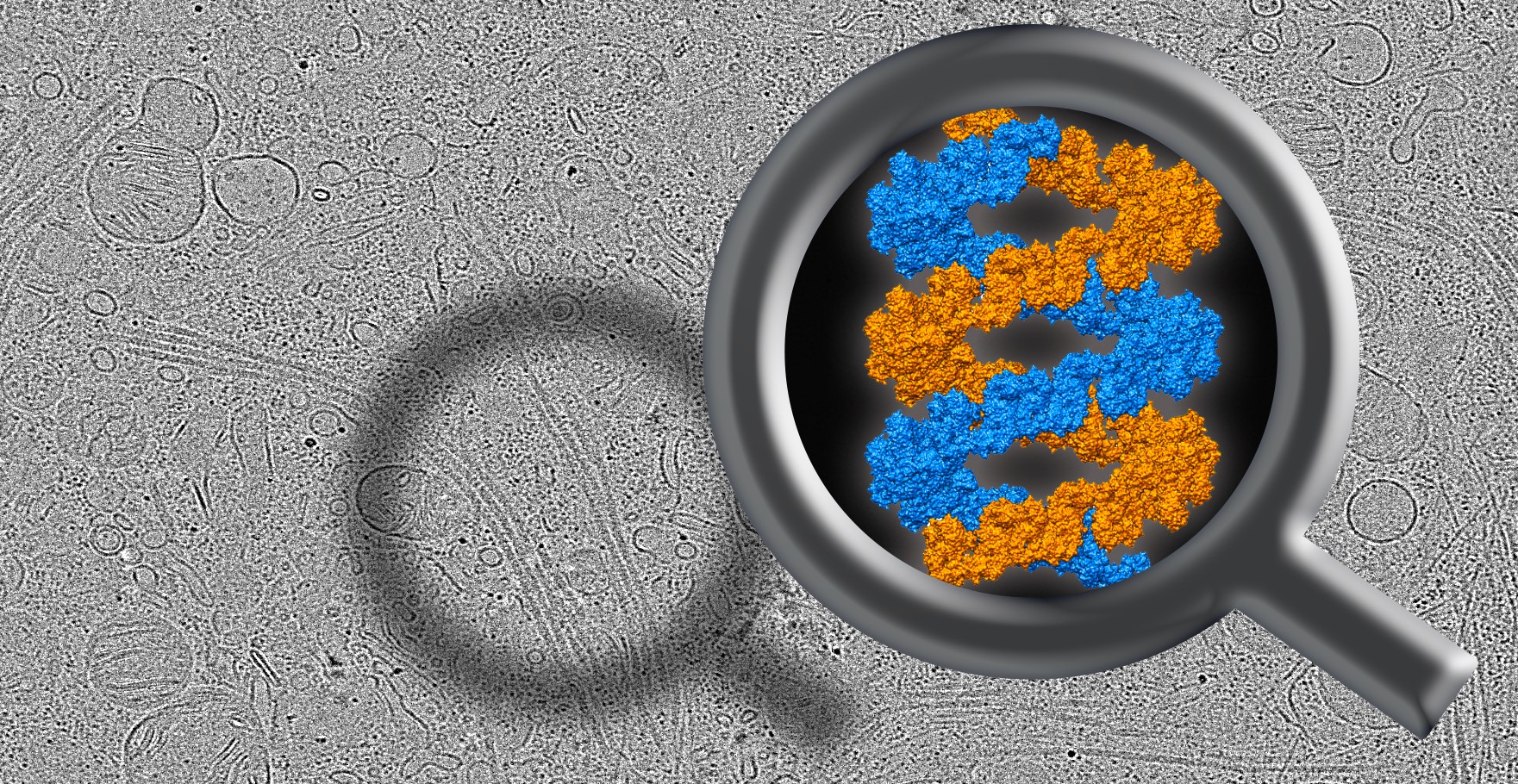 Image of magnifying glass showing blue and orange.