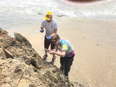 two people on the beach sampling mussell