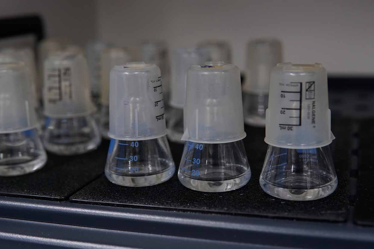 An image of liquid stored in 3 closed flasks.