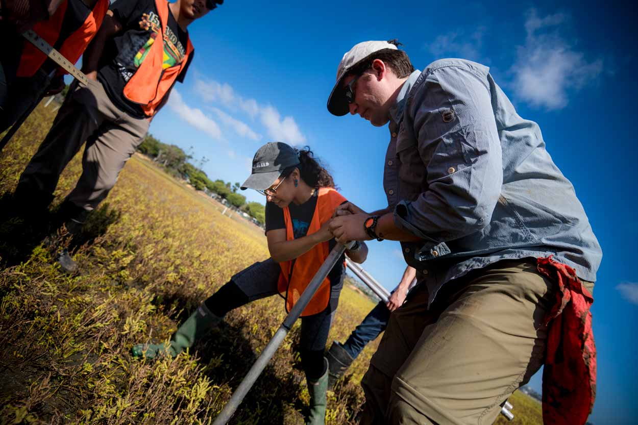 People doing research at the marsh