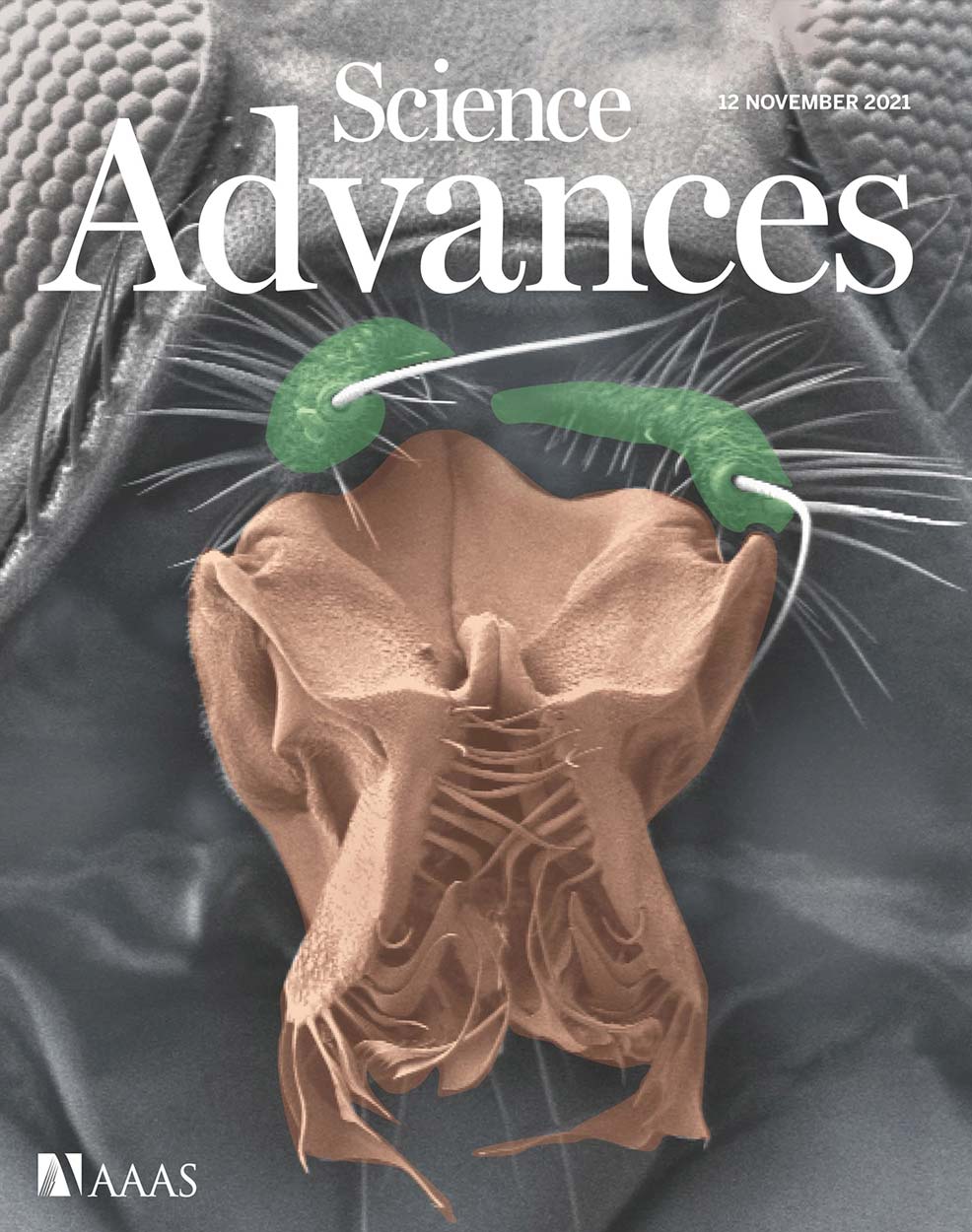 Magazine cover from sci advances