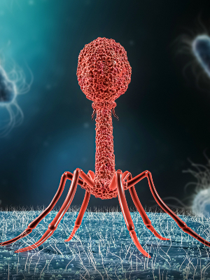 Phage Virus