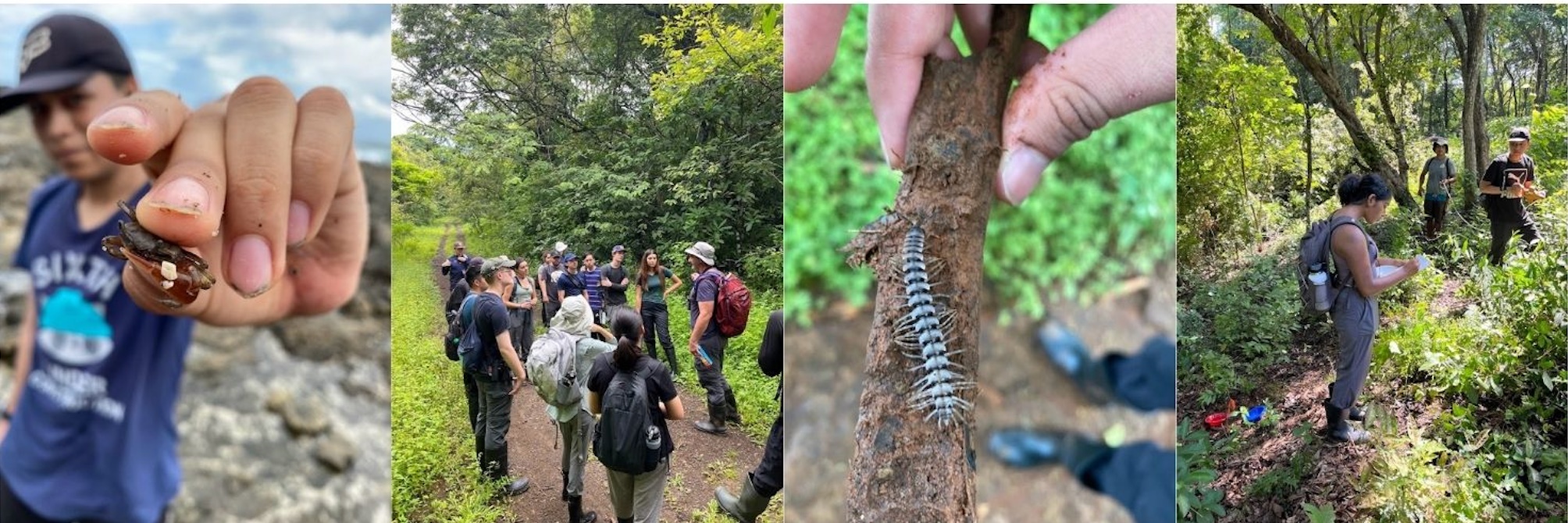 Study abroad trip in Costa Rica