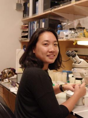 Eugene Jen Jin working in the laboratory