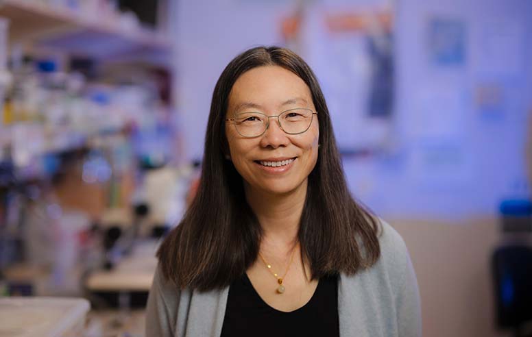 Portrait of neurobiologist Yishi Jin.