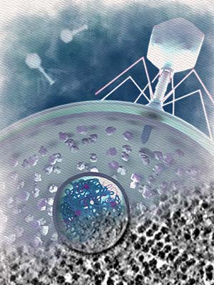 EPI vesicle shown protecting phage DNA material