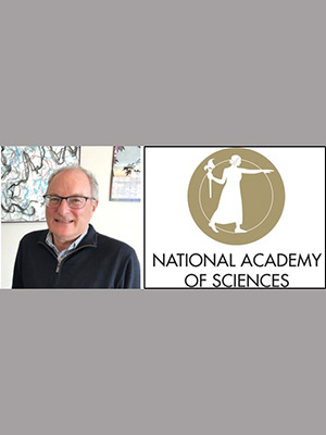 Professor Murre elected to NAS.