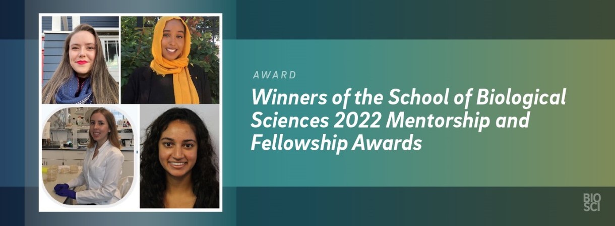 The four winners of the mentorship and fellowship awards