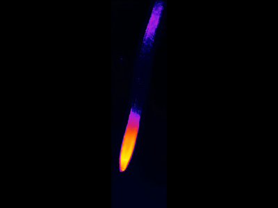 fluoresence dynamics in a glowing root