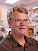 Mark Estelle