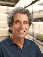 Martin Yanofsky